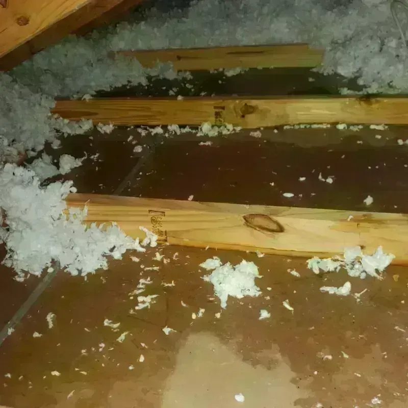 Attic Water Damage in Indian River, MI