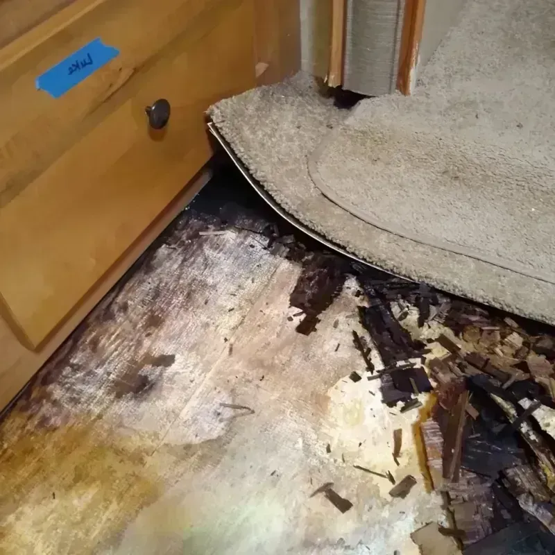 Wood Floor Water Damage in Indian River, MI